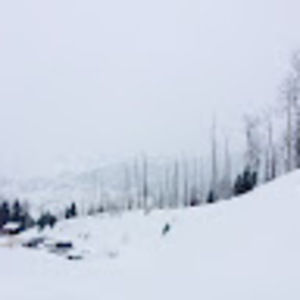 Meet your Posher, Claire